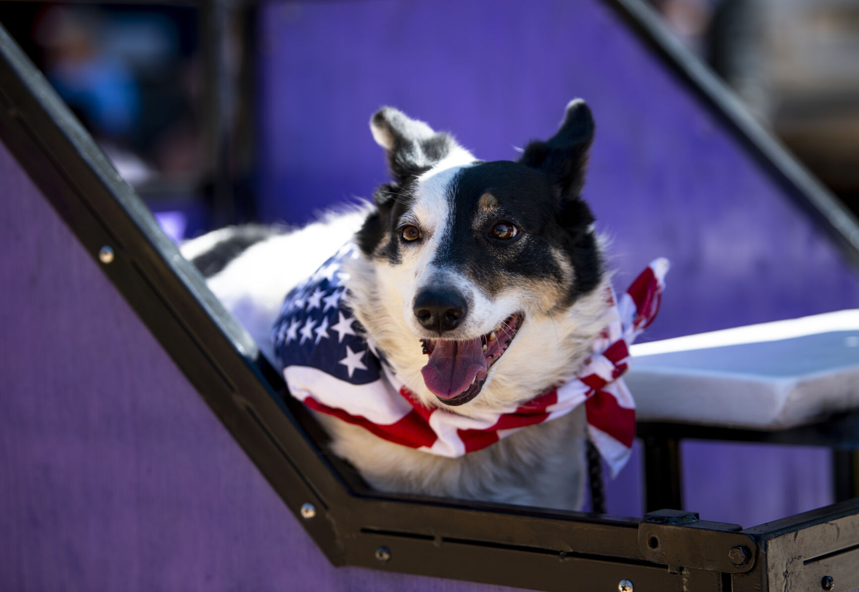 073122-news-bronc day12.JPG